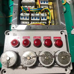 China AC220/380V 63/250A Explosion Proof Power Distribution Box for Oil/Gas Industry Socket Maintenance Box wholesale