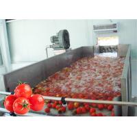 China Stainless Steel 380V Vegetable Processing Line Tomato Processing Equipment on sale