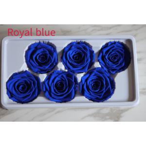 China beautiful preserved rose flower A grade stabilized rose preserved long lasting eternal rose 4-5cm supplier
