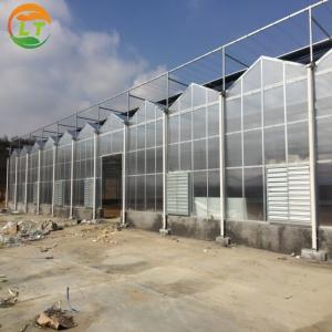 Multi Span Agriculture Polycarbonate Greenhouse with Hydroponics Cooling Pad Fan System