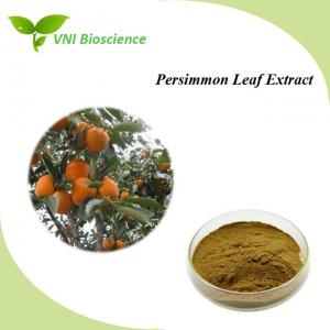 Natural Persimmon Plant Extract Powder Anti Inflammatory Diospyros Kaki L.F