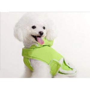 China Fox Terrier Green Fleece Fashion Personalised Dog Hoodies with XS, XL supplier