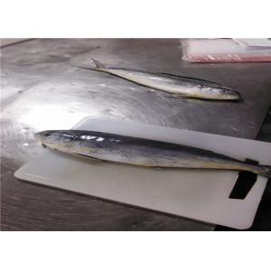 China Sea Whole Round 1.5kg 2kg Block Quick Frozen Mahi Mahi Fish supplier