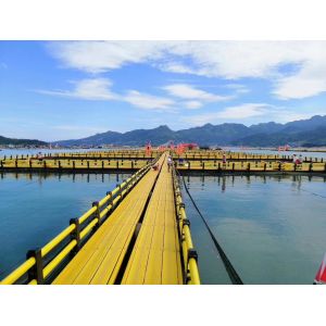 China Nangfengwang Large Plastic Fishing Platform Floats for Fishery Breeding Pontoons and Support Payments in USD wholesale