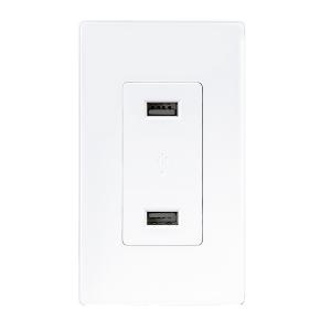 China LD-U001 4.2A Smart High Speed USB Charger Outlet , 2 USB Ports with 2 Wall Plates supplier