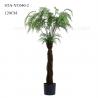 China Home Decoration Artificial Fern Tree Single Stem Evergreen Non Toxic Lush Look wholesale