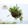 China Semi-Circle Light Weight Hanging Planter Basket For Home &amp; Garden wholesale