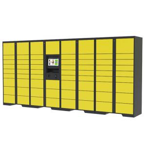 China 24 Hours Available Parcel Delivery Lockers with Advanced Network Intelligent Electronic Delivery supplier