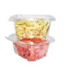 China China Supplier Tamper-Resistant Clear Hinged Container with Flat Lid wholesale