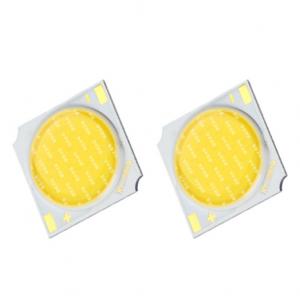 China 24 watt  1919 series led cob chips  white color  Mirror alu EPISTAR chip led cob for led downlight supplier