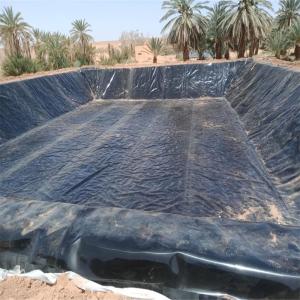 China Услуги по установке на месте для ASTM Standard Smooth HDPE Geomembrane Pool Pool Liner supplier