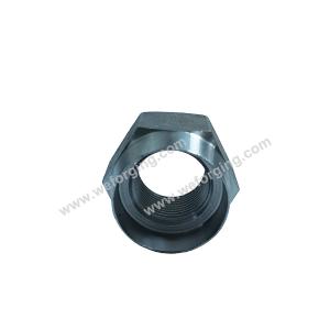 China Hex Nuts de forja en frío Tornos de cabeza forjada de alta resistencia Componentes mecanizados por CNC Proveedor de aplicaciones industriales wholesale