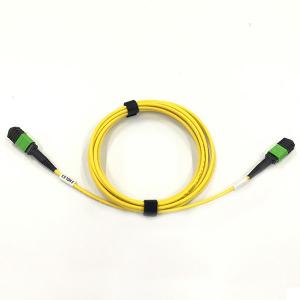 China 12F MPO To MPO Single Mode Patch Cord , Loss MPO Fiber Optic Patch Cord 3M Standard supplier