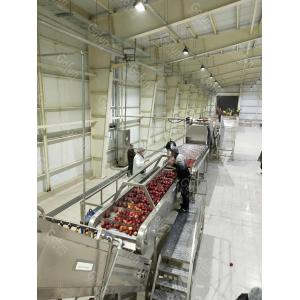 Ss304 Apple Processing Line Automatic Fruit Juice Making Machine 380V