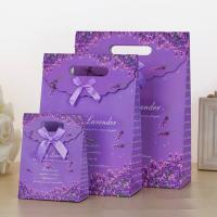 China Custom Printed Paper Gift Bags With Velcro Closure on sale