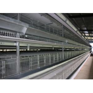 Energy Saving H Type Layer Chicken Cage / Wire Poultry Cages Operate Steadily