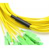 China Singlemode Multifiber Cable Assemblies Pre Connectorized 12 Strand SC/APC-SC/UPC wholesale