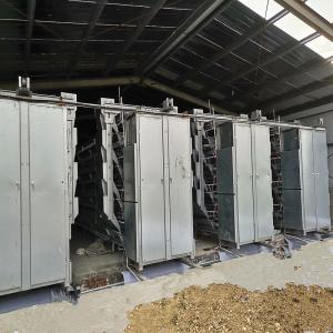 China Q235 Chicken Farming Equipment , 54-384 Birds/Set H / A Type Layer Cage supplier