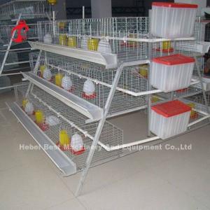3 tiers Pullet Chicken Cage For 1 Week Small Chick Brooder Cage Doris
