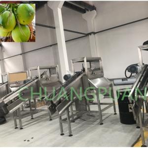 China Premium Coconut Water Cutting Machine 316 Stainless Steel supplier