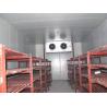 Ice Cream / Frozen Food Cold Storage Room With Swing Door , Copeland Scroll