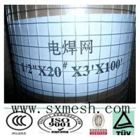 high quality welded wire mesh(factory price)  /pvc coated  welded wiremesh /galvanized welded wire mesh