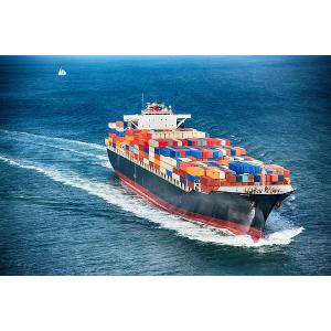 Fast Matson Shipping FCL LCL Reliable Sea Shipping Agent To USA