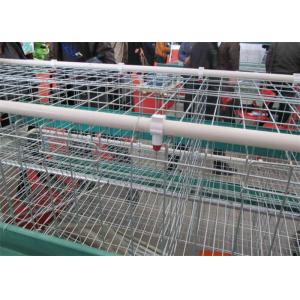 Stepped H Type Layer Cage 490mpa / Chicken Egg Layer Cages 56cm width