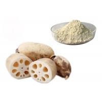 China Meal Replacement Pure Natural Lotus Root Vegetable Extract Powder on sale