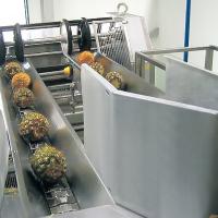 China 380V 50Hz Pineapple Processing Line For Concentrated Juice on sale