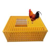 China 10 Chicken Plastic 12.25 Inches Detachable Poultry Transport Cage on sale