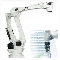 China CP250L Industry Robot Arm on sale