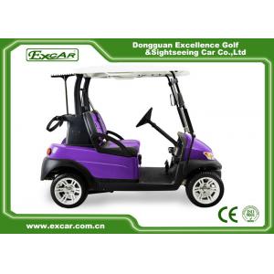 China Purple And Black 2 Passenger Electric Car 48V With 1 Year Warranty wholesale