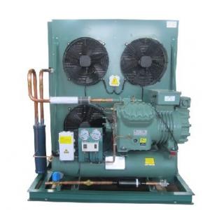 China Air cooled Refrigeration  condenser Unit for cold storage room supplier