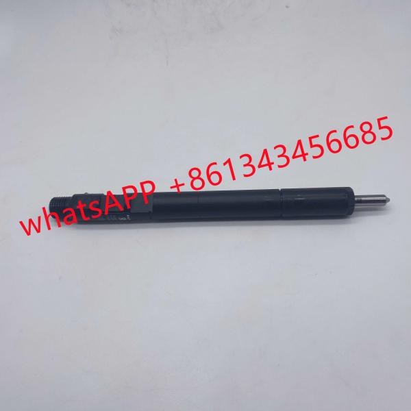 China D20DT EJBR04501D Delphi Fuel Injector wholesale