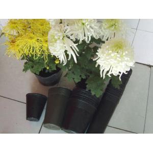 China Potenciômetros plásticos redondos da plântula da árvore do LDPE/HDPE flexíveis para exterior supplier