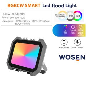 China Outdoor 30W 50W 100W RGB LED Flood Light With Dmx Control EMC wholesale