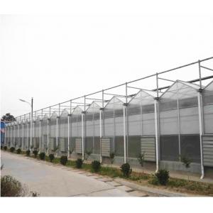 China Tomato Grow Agriculture Greenhouses Manufacturers in Venlo Style with PC Sheet Cover supplier