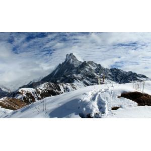 China Nepal Walking Tours 9 Day'S Mardi Himal Trek Mountain Lodge Accommodation supplier