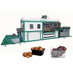 Vacuum Blister Thermoforming Machine High Speed Automatic PLC Computer Control