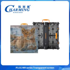 China Écran LED P3.91 Affichage publicitaire commercial Écran d'affichage LED extérieur transparent supplier