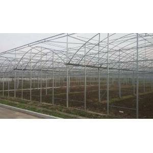 Easy Install Plastic Film Greenhouse , Dome Shaped Greenhouse Span Width 6 / 8 / 10m