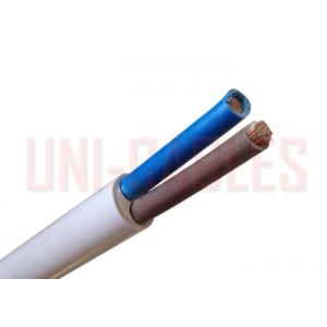 China Type RVV 300/500V PVC insulated Flexible Copper Conductor Electrical Wire supplier