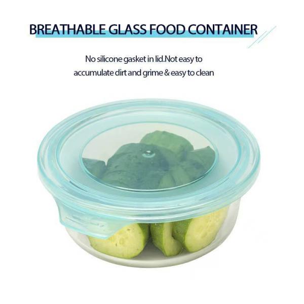 China Color Sprayed Glass Food Container with PP Lid - BPA Free wholesale
