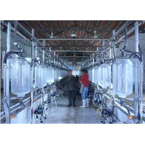 Hot Galvanized Dairy Farm Milking Herringbone Milking Parlor With Splash Guard