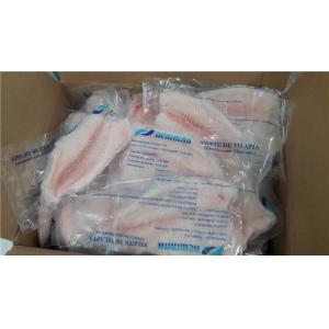 Nutritious Fresh Frozen Seafood Tilapia Fillets Products Rich Vitamin And Mineral