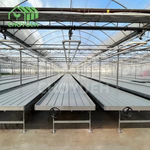 Hydroponic Trays Greenhouse Benches Ebb And Flow Rolling Benches 3mm