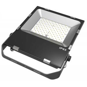 100 Watt 200W Aluminum 110v 220v Black Slim LED Landscape Outdoor Flood Standing Light