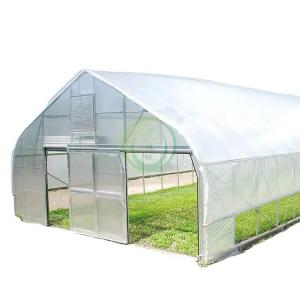 China Plastic Film Tunnel Greenhouse Resists Corrosion Sharp Arch Gothic Greenhouse supplier