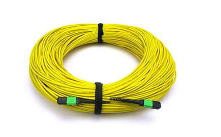 Cable Assemblies MTP MPO Connector 8f 12f 24f Fiber Patch Cord Water Proof